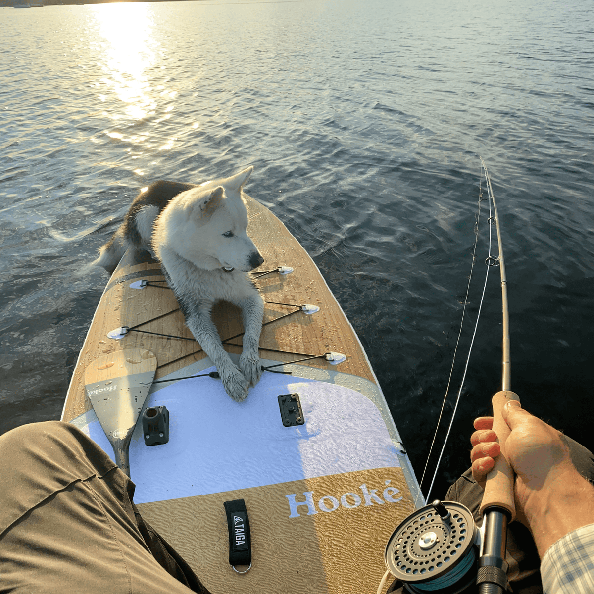 PERFORMANCE PADDLE - HOOKÉ EDITION - Adjustable 3 pieces